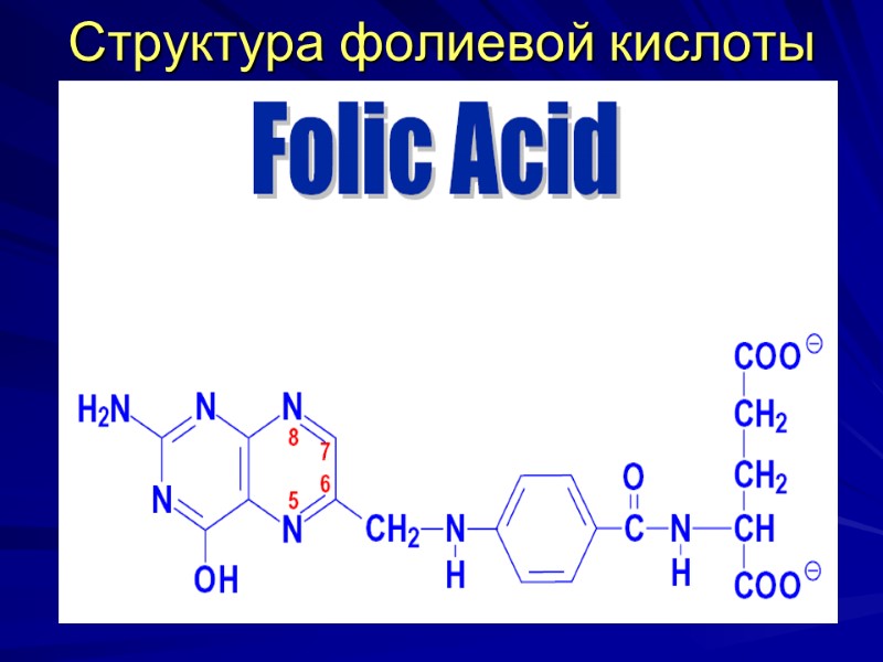 Структура фолиевой кислоты Структура фолиевой кислоты